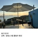 사군자와 예쁜 꽃그림(저녁) | 남해 다랭이마을 근방 깨끗한 풀빌라 펜션 달빛 2그램 내돈내산 2박 후기