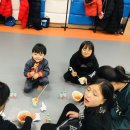 한라 합기도 이미지