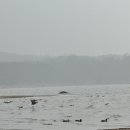 10월 서천독서가치 | 서천 장항 송림 자연휴양림 서해안 바다 여행 가볼만한곳