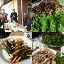 배순농장 네이버블로그