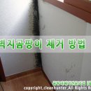 곰팡이헌터 이미지