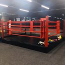 브라보 복싱 이미지