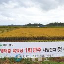 관주 이미지