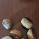 이일주농장 이미지