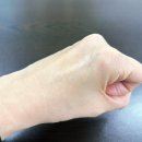 파우파우(PAW PAW) 이미지