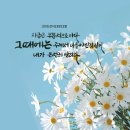 (주)아신
