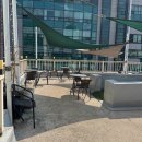 커피파로 | 대학로데이트코스에 딱! 카페랑솜에서 즐긴 대학로디저트 후기 (생크림케이크/티라미수)