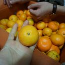 서포농장 이미지