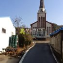 와초리농장 Daum카페