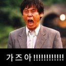 보보플라워