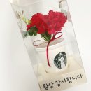 헤이파티스토어 카네이션 시들지않는꽃 스승의날카네이션 후기