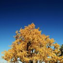 광주향교 이미지