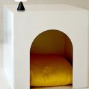 펫하우스 이미지