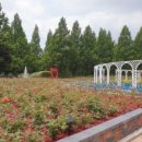 달맞이로71 이미지