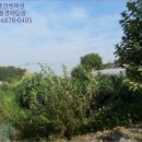 교동면-5 이미지