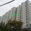 수림치과의원 네이버블로그