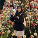 [ 서울랜드 ] 과천 서울랜드 후기 (feat. 카드할인, 크리스마스마켓, 대기줄x, 코끼리열차)🎄