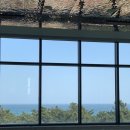 미가1번지 | 6일차(동화가든짬뽕순두부/테라로사모노그램점/신라모노그램호텔수영장/감자적1번지/강릉샌드/카페툇마루)