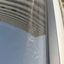 라온디테일링 | 출장 세차 = "라온세차", 내 손 안묻히고 차 깨끗해지는 방법!!