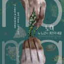 NOMA(노마) 이미지