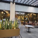 마카티 | [필리핀 마닐라] 마카티 그린벨트 카페 ☕ 싱글 오리진(Single Origin) 후기