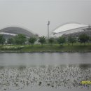 안산 화랑유원지 이미지