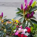 부림시장 이미지