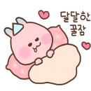 황금카센타 이미지