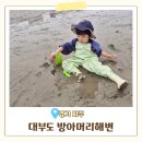 대부황금로 | 대부도 방아머리해수욕장 무료 갯벌체험 아이와 해루질하기 좋은 곳 추천 후기