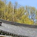 한국불교태고종 봉원사 - 947 | 한국불교태고종 봉원사