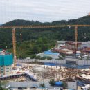 탄벌동 531 이미지