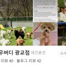 헬로우버디 광교점 이미지