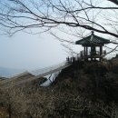 구미상록수관광 Daum카페
