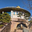 대웅농장 | 부산 금정구 두구동 홍법사 최대 황금불상 방문 후기