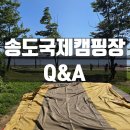 송도국제캠핑장 예약 팁부터 바다가 바로 보이는 명당 사이트 추천까지 총정리!