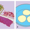 두부반장 이미지