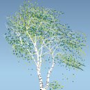 선경레이카운티부동산공인중개사사무소 이미지