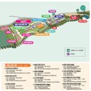 꽃길만걷자6 이미지