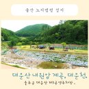 온양읍 운화리 대운산 진입도로(대운상대길) 편면 | 울산 내원암 계곡에서 시원한 힐링! 울주군 대운산 제3공영주차장 대운천에서 더위사냥!아이와 함께...
