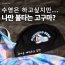 매시코리아 | 귀여운 메쉬 수모추천 푸릉스윔 여자수영모자 XL 후기