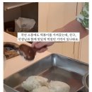 중딩 아들 가을 소풍 도시락 싸주는 어머니 ㄷㄷ..jpg 이미지