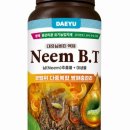대유스토어