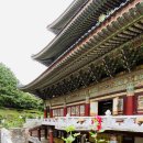 중문오렌지파크 이미지