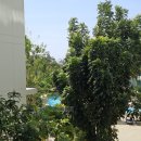 라비타호텔 이미지