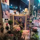 찬스 | 대구 송해공원 이찬원카페 카페 찬스 다녀온 후기