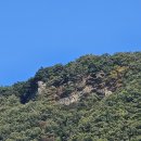 261004 가평 대금산+잣나무숲 (산림청 명산100+, 오지산행) 이미지