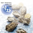 굴,통영굴,석화,생굴/청정해역 통영굴 맛있게 먹는 방법부터 싱싱한 굴 고르는 방법 이미지