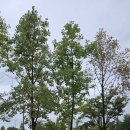 문암목장 이미지