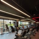 울프피트니스 이미지