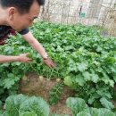 사랑샘의료기 이미지